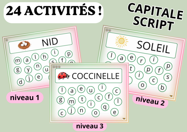 Apercu Atelier jeu MS GS 24 cartes Lettre en capitale script printemps