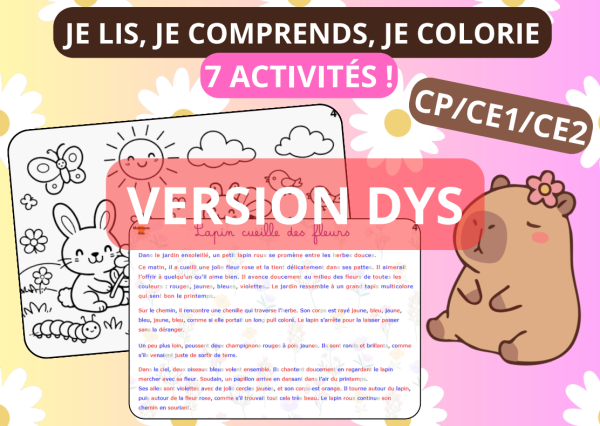Apercu DYS CP CE1 CE2 7 histoires fiche jeu je lis je comprends je colorie